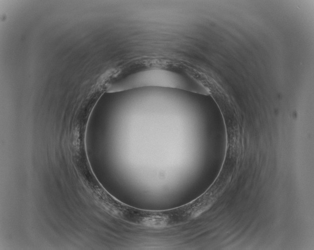 X0000085000700200703051221