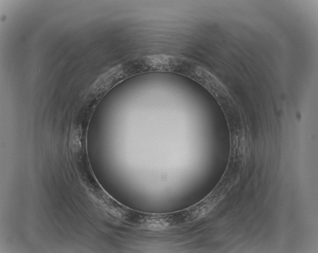 X0000085000702200703051221