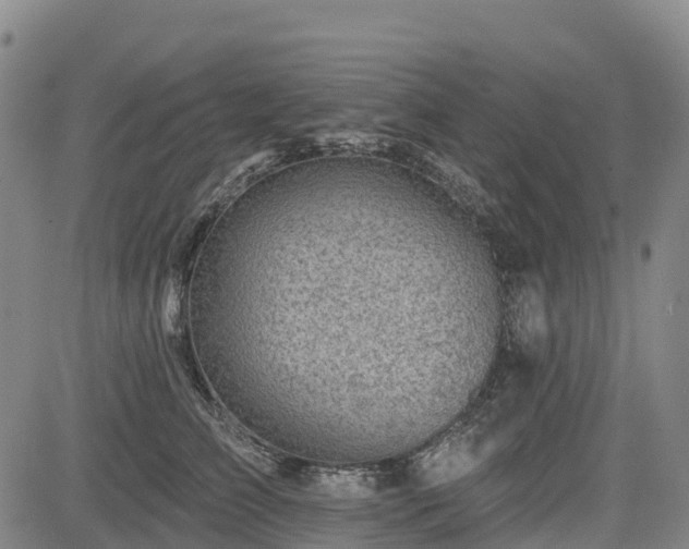 X0000085000709200703051221
