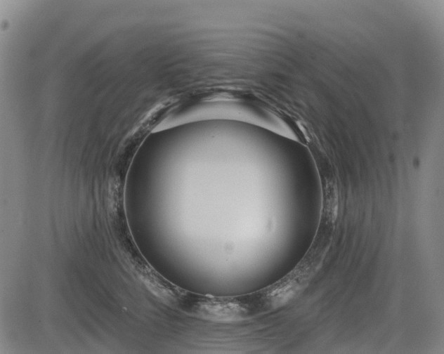 X0000085000712200703051221