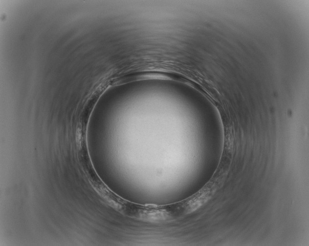 X0000085000716200703051221