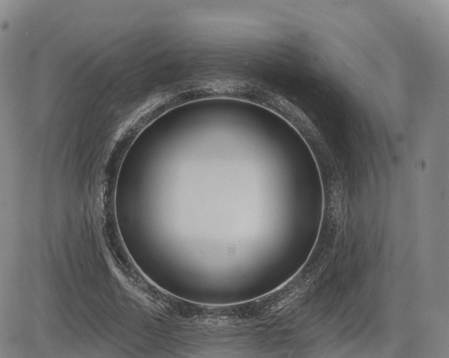 X0000085000730200703051220