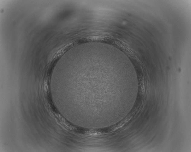 X0000085000746200703051221