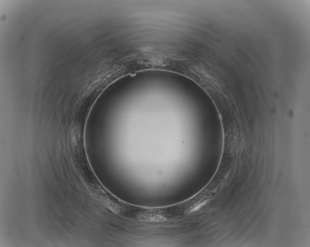 X0000085000747200703051221