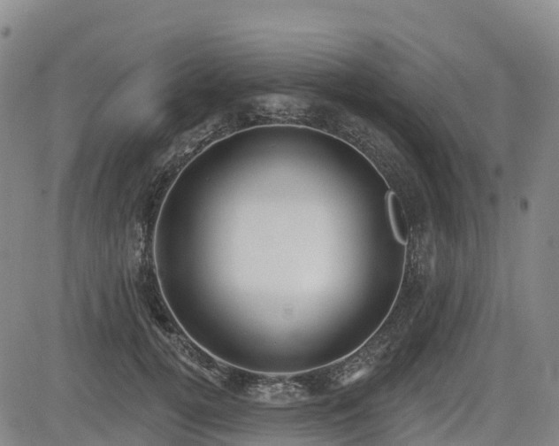 X0000085000752200703051221