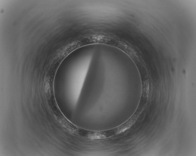X0000085000754200703051221