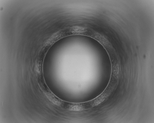 X0000085000755200703051221
