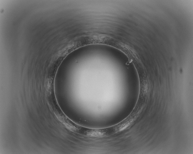 X0000085000759200703051221
