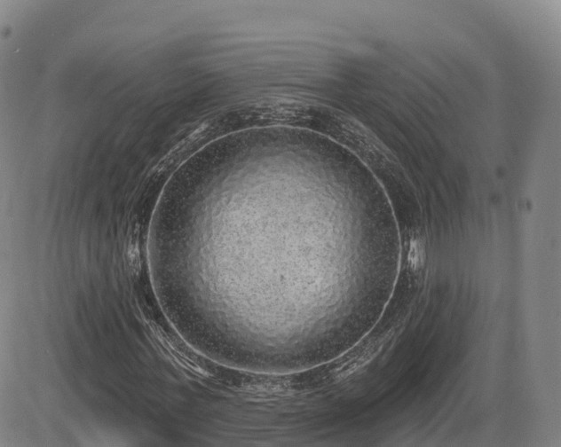 X0000085000771200703051220