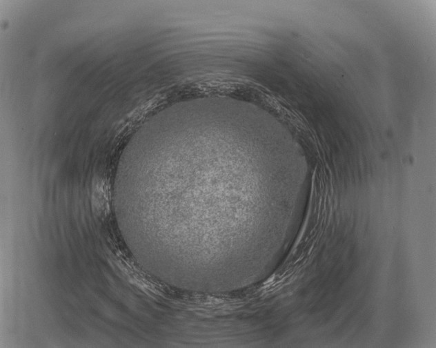 X0000085000772200703051220