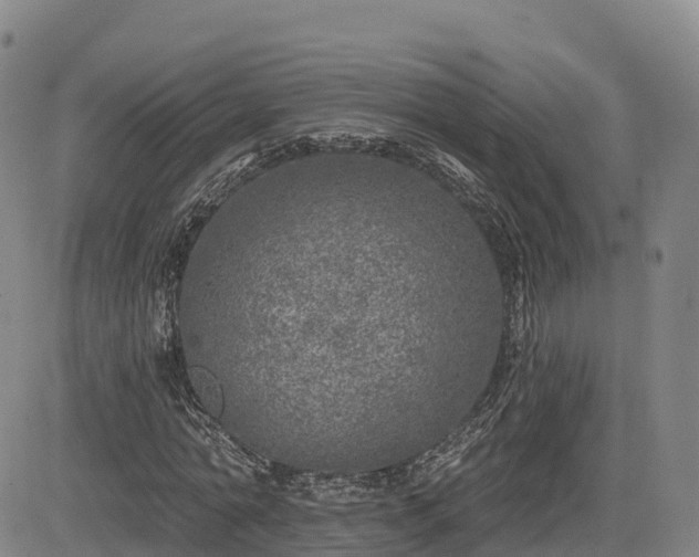 X0000085000774200703051220