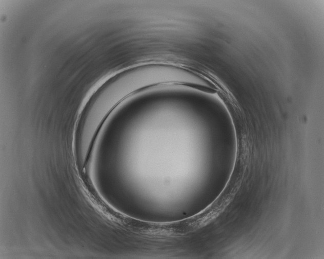 X0000085000788200703051220