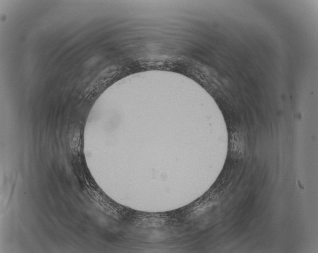X0000085000820200703051219