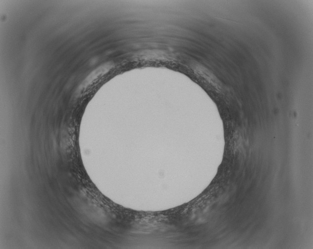 X0000085000824200703051219