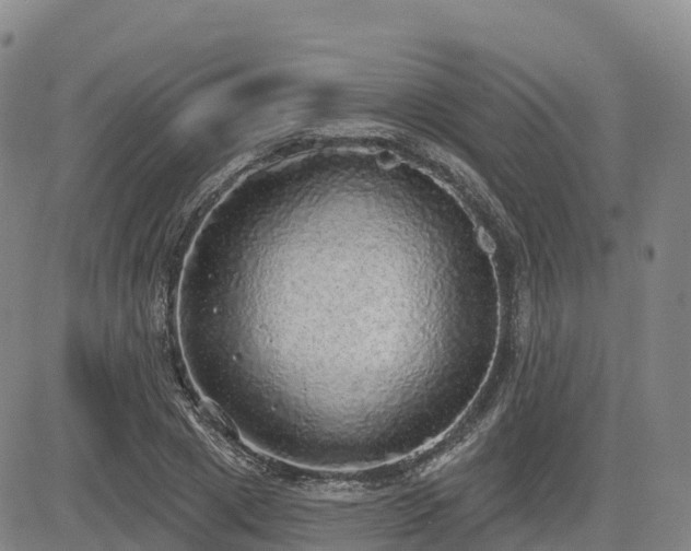 X0000085000833200703051219