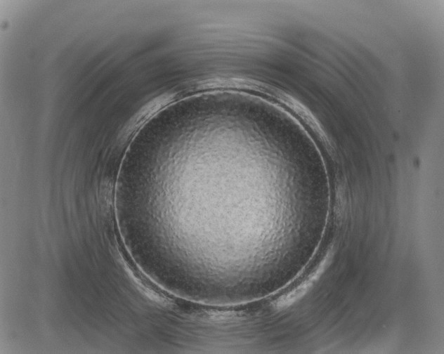 X0000085000849200703051219