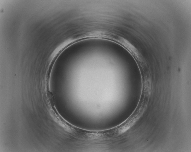 X0000085000854200703051219