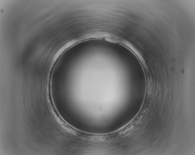 X0000085000861200703051219