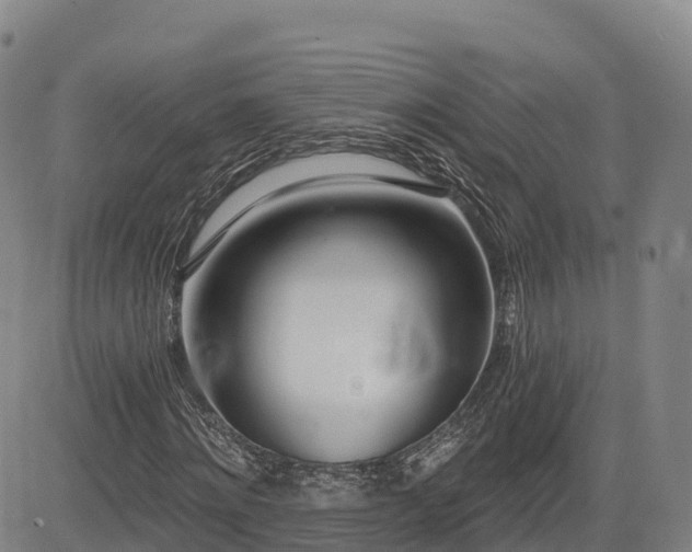 X0000085000868200703051218