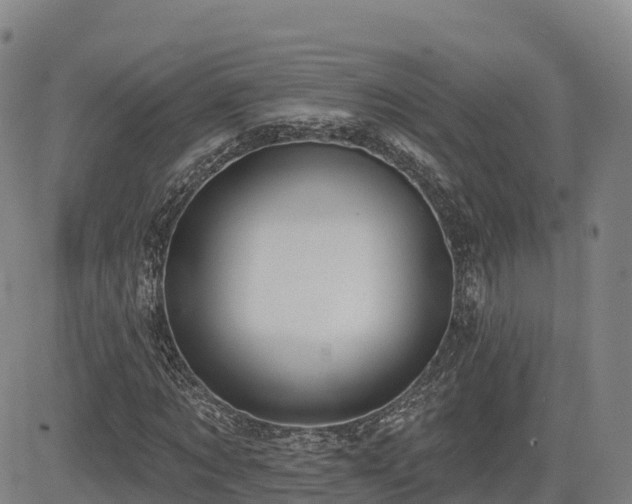 X0000085000869200703051218