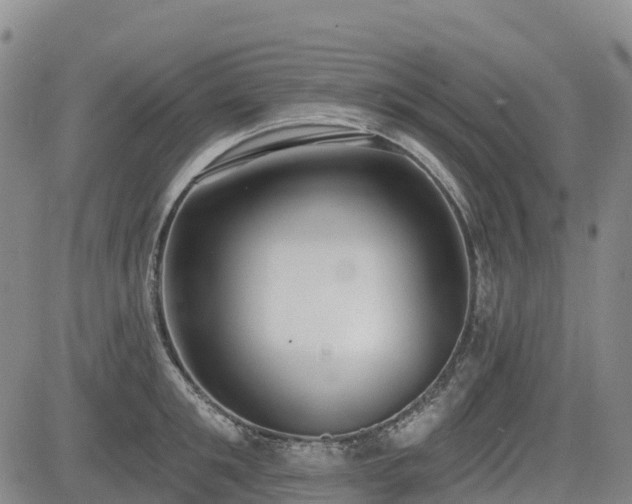 X0000085000901200703051218