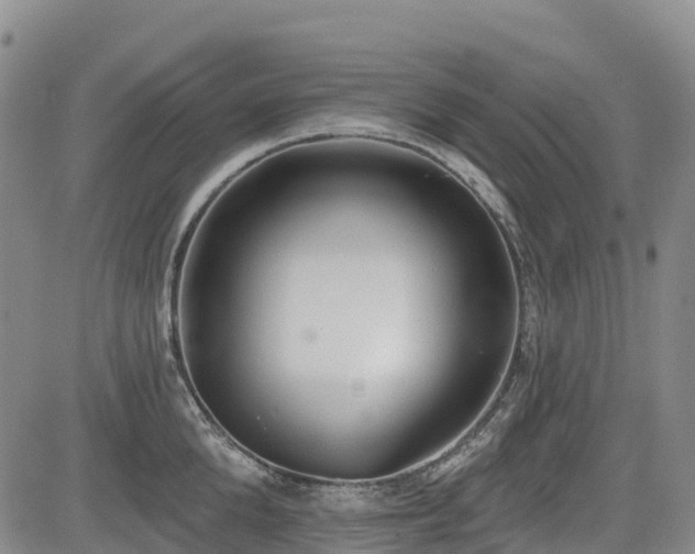 X0000085000904200703051218