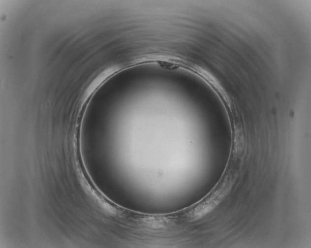 X0000085000906200703051218