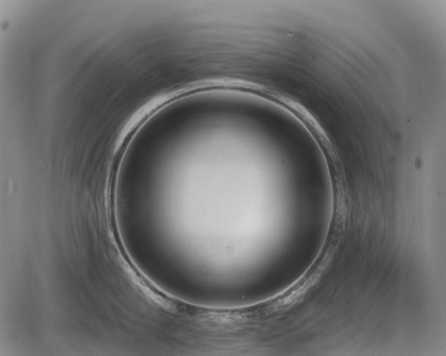 X0000085000910200703051218