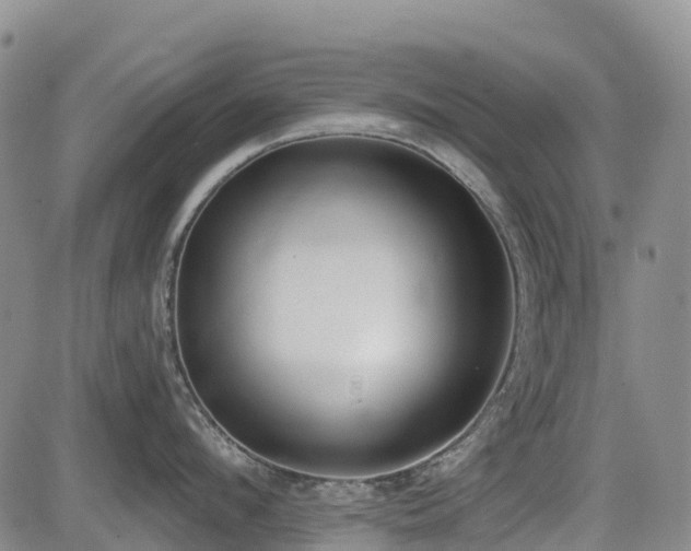 X0000085000912200703051218