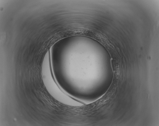 X0000085000916200703051217
