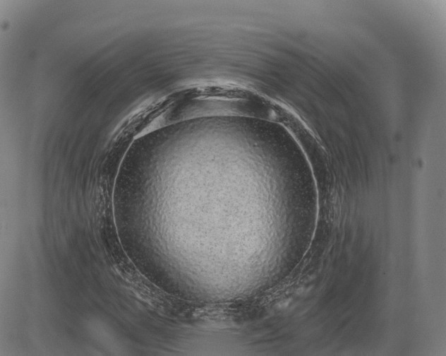 X0000085000967200703051217