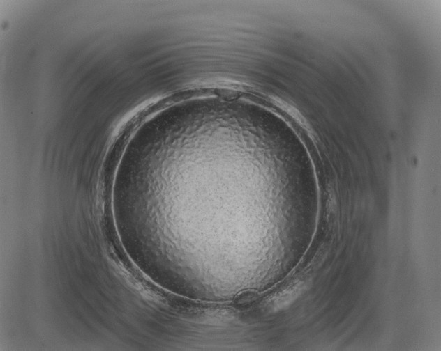 X0000085000979200703051217