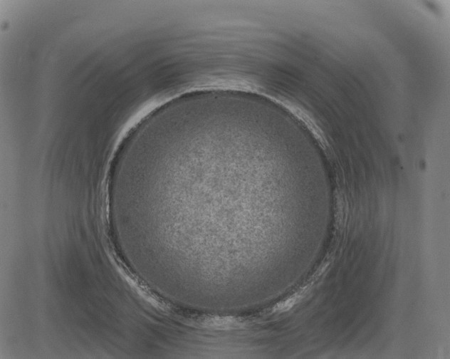 X0000085000982200703051217