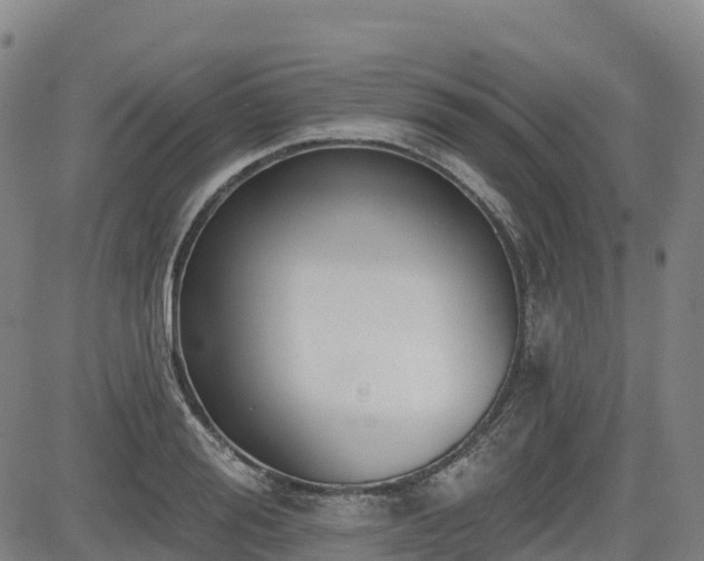 X0000085000988200703051216