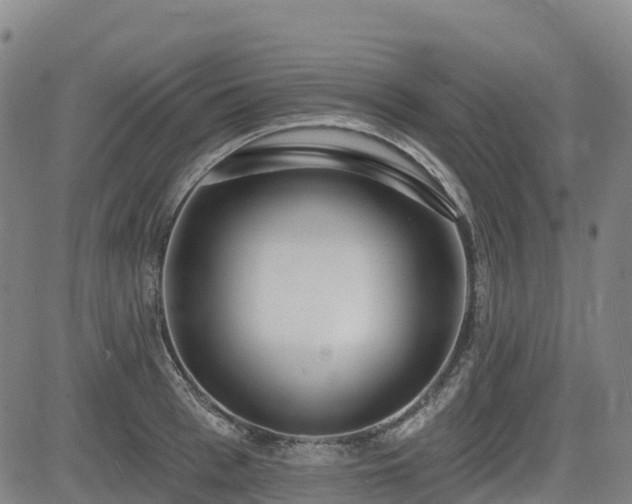 X0000085000993200703051216
