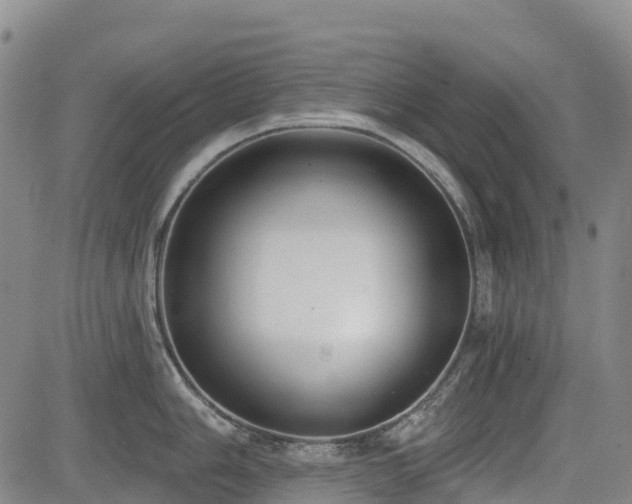 X0000085001006200703051216
