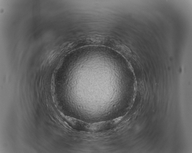 X0000085001009200703051215