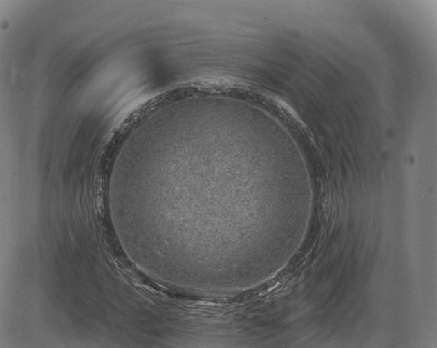 X0000085001016200703051215