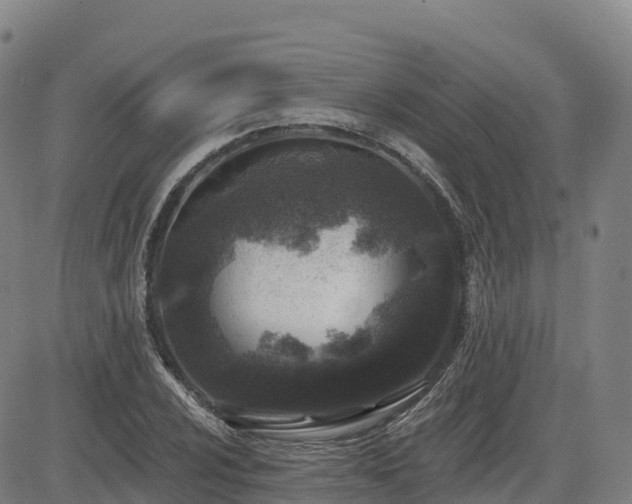 X0000085001024200703051216