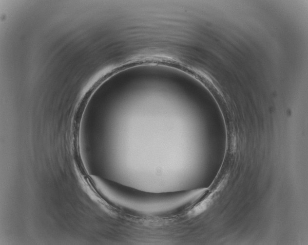 X0000085001038200703051216