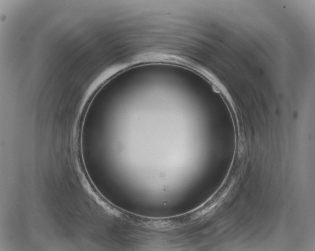 X0000085001053200703051216