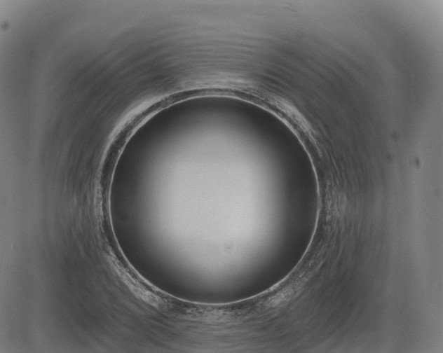 X0000085001072200703051215