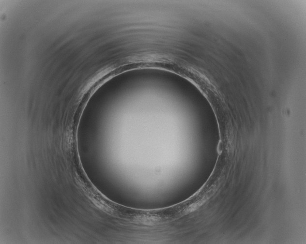 X0000085001073200703051215