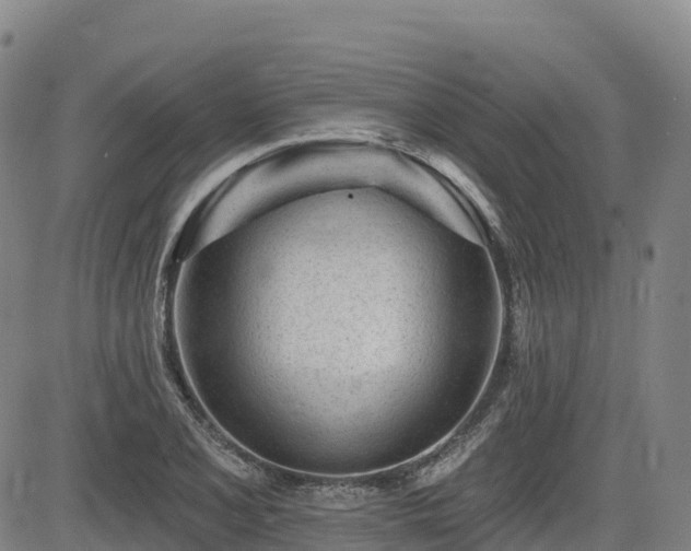 X0000085001077200703051215