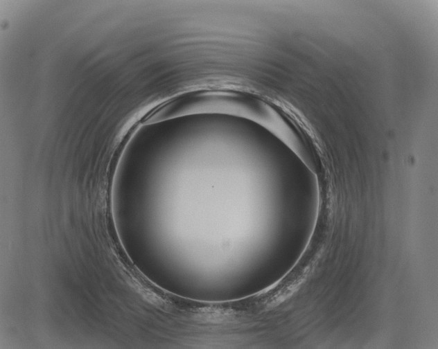X0000085001081200703051215