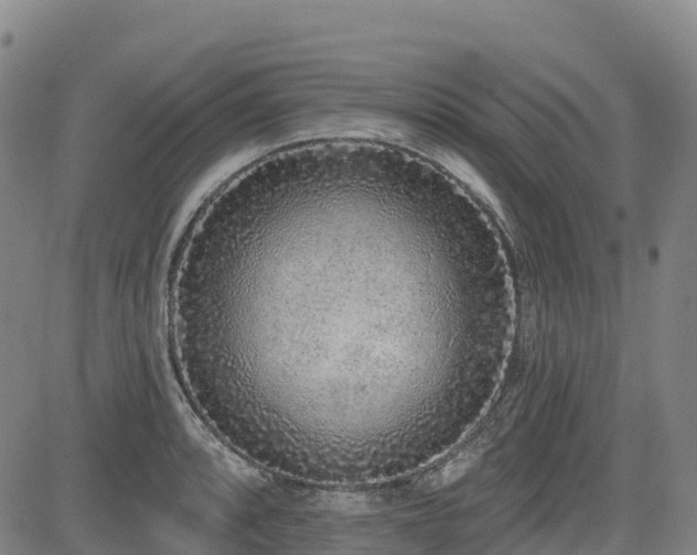 X0000085001088200703051215