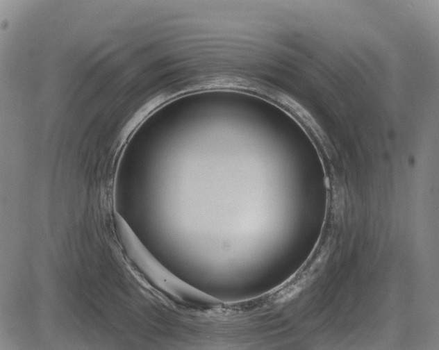 X0000085001097200703051215