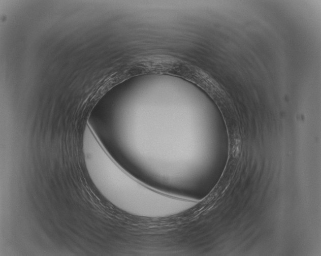 X0000085001108200703051214