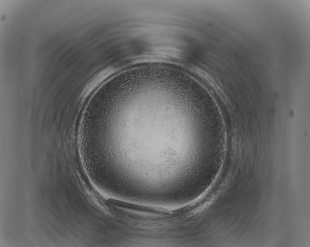 X0000085001129200703051214