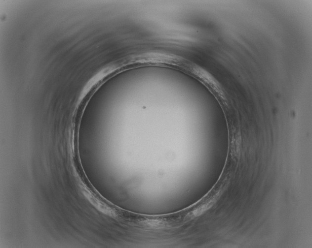 X0000085001130200703051214